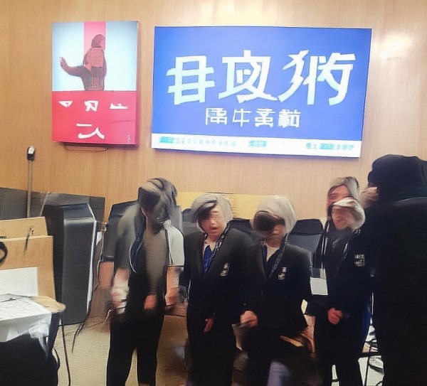 经典书籍推荐与实用技巧结合